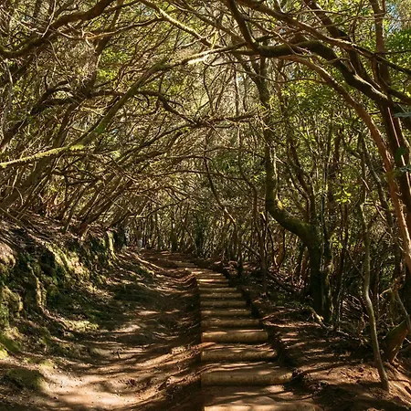 Apartamento Lunamar Luxury Place *