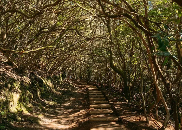 Daire Lunamar Luxury Place *