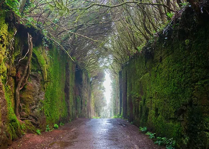 Daire Lunamar Luxury Place *